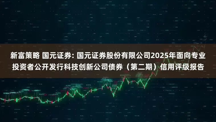 新富策略 国元证券: 国元证券股份有限公司2025年面向专业投资者公开发行科技创新公司债券（第二期）信用评级报告
